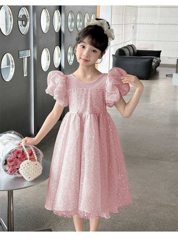 Kids Girl Luxury Glitter Dusty Rose Pink Fashion Party dress flower girl