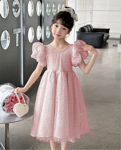 Kids Girl Luxury Glitter Dusty Rose Pink Fashion Party dress flower girl